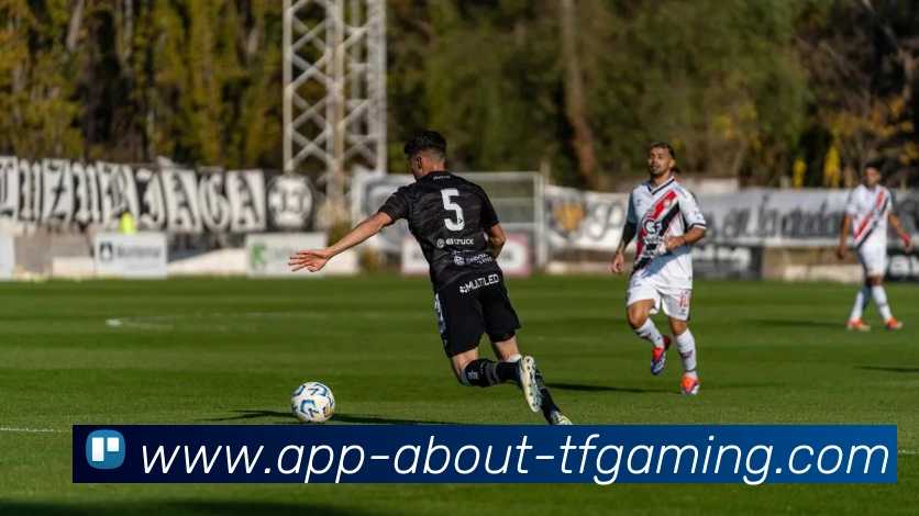 雷火电竞APP平台生态图